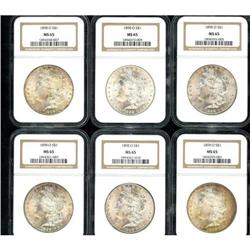 Lot of Twelve 1898-O Morgan Dollars NGC MS65