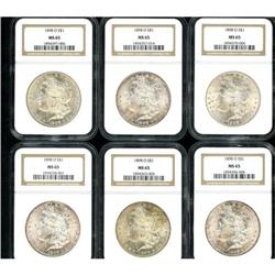 Lot of Twelve 1898-O Morgan Dollars NGC MS65