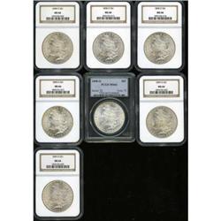 Lot of Seven Morgan Dollars