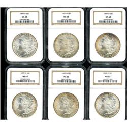 Lot of Twelve 1899-O Morgan Dollars NGC MS65