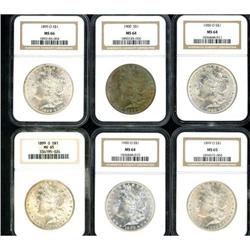 Lot of Thirteen Morgan Dollars NGC