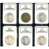 Image 1 : Lot of Thirteen Morgan Dollars NGC