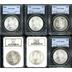 Lot of Eleven Morgan Dollars