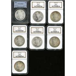 Lot of Seven 1900 Morgan Dollars
