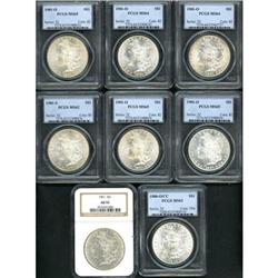 Lot of Eight Morgan Dollars