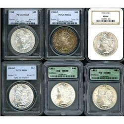 Lot of Eleven Morgan Dollars