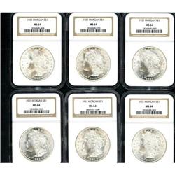 Lot of Fourteen Morgan Dollars