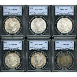 Lot of Twelve Morgan Dollars