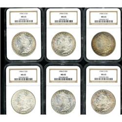 Lot of Twelve 1904-O Morgan Dollars NGC MS65