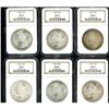 Image 1 : Lot of Twelve 1904-O Morgan Dollars NGC MS65