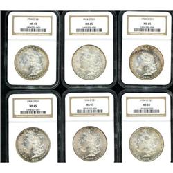 Lot of Twelve 1904-O Morgan Dollars NGC MS65