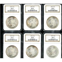 Lot of Twelve 1904-O Morgan Dollars NGC MS65