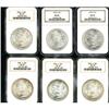 Image 1 : Lot of Twelve 1904-O Morgan Dollars NGC MS65