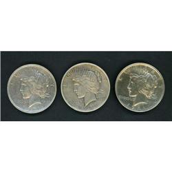Lot of Three 1921 Peace Dollars Raw