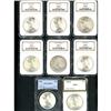 Image 1 : Lot of Eight Peace Dollars