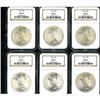 Image 1 : Lot of Twelve Peace Dollars NGC