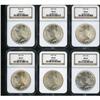 Image 1 : Lot of Twelve Peace Dollars