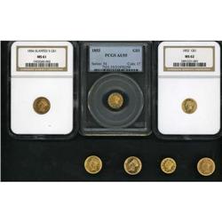 Lot of Seven Raw and Slabbed Gold Dollars