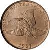 Image 1 : 1857 Flying Eagle 1C NGC MS65