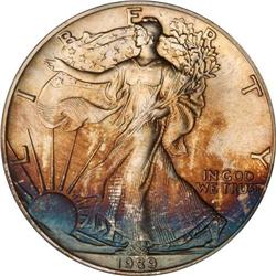 1989 Eagle Silver Dollar PCGS MS67