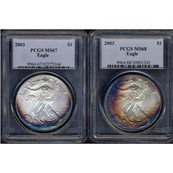 Lot of Two Toned Silver Eagle $1 Coins