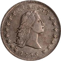1795 Flowing Hair $1. 2 Leaves NGC AU55 BB-21