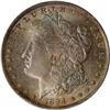 Image 1 : 1884-O Morgan $1 NGC MS65
