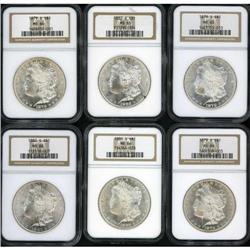 Lot of Six Morgan Dollars NGC