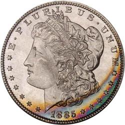 Lot of Two 1885 Toned Morgan Dollars NGC MS65*