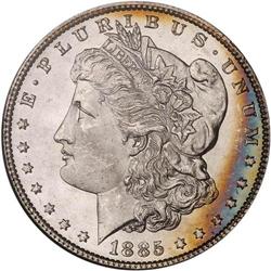 Lot of Two 1885 Toned Morgan Dollars NGC MS65*
