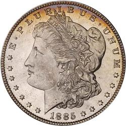 Lot of Two 1885 Toned Morgan Dollars NGC MS65*