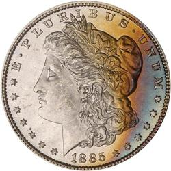 Lot of Ten 1885 Toned Morgan Dollars NGC MS63*