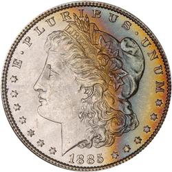 Lot of Two 1885 Toned Morgan Dollars NGC MS63*