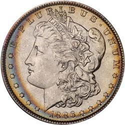 Lot of Five 1886 Toned Morgan Dollars NGC MS64*