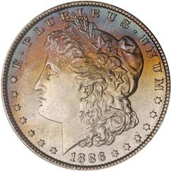 Lot of Five 1886 Toned Morgan Dollars NGC MS63*