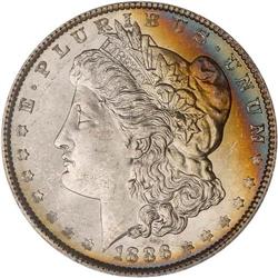 Lot of Five 1886 Toned Morgan Dollars NGC MS63*