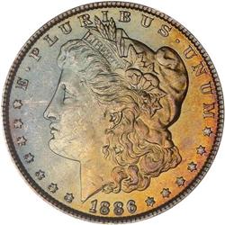 Lot of Two 1886 Toned Morgan Dollars NGC MS63*