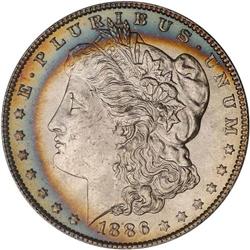 Lot of Two 1886 Toned Morgan Dollars NGC MS63*