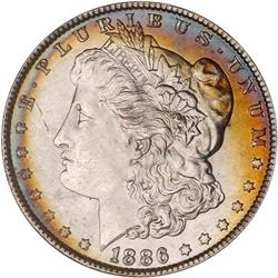 Lot of Two 1886 Toned Morgan Dollars NGC MS63*