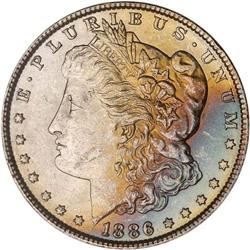 Lot of Five 1886 Toned Morgan Dollars NGC Unc