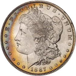 Lot of Three 1885 1887 Toned Morgan Dollars NGC MS65*