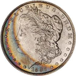 Lot of Two 1887 Toned Morgan Dollars NGC MS65*