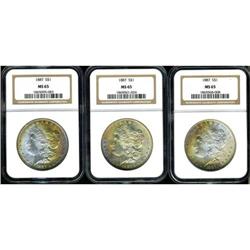 Lot of Three Morgan Dollars NGC MS65