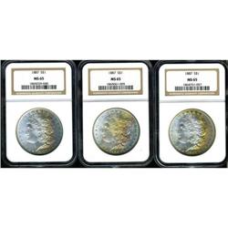 Lot of Three 1887 Morgan Dollars NGC MS65