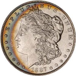 Lot of Two 1887 Toned Morgan Dollars NGC MS65*