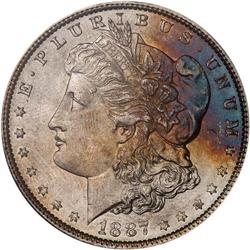 Lot of Three 1887 Toned Morgan Dollars NGC MS64*