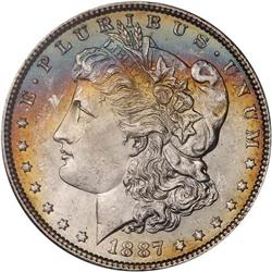 Lot of Five 1887 Toned Morgan Dollars NGC MS63*