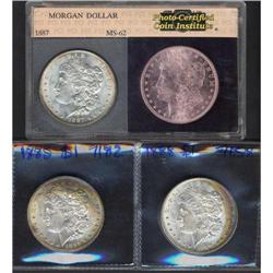 Lot of Three Toned Morgan Dollars