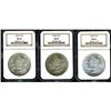 Image 1 : Lot of Three Morgan Dollars