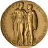 Image 1 : Congressional Medal for the Conquest of Yellow Fever